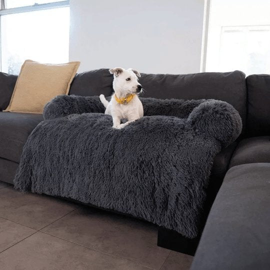 CalmDogs | Bescherm je meubels en laat je hond genieten